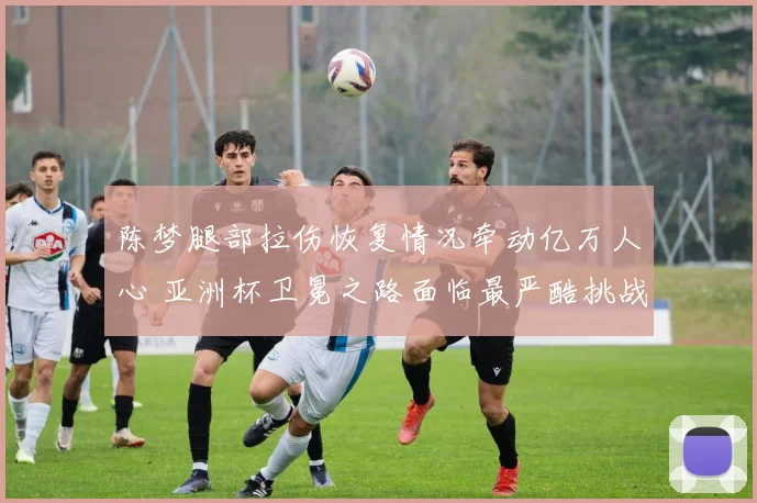 陈梦腿部拉伤恢复情况牵动亿万人心 亚洲杯卫冕之路面临最严酷挑战